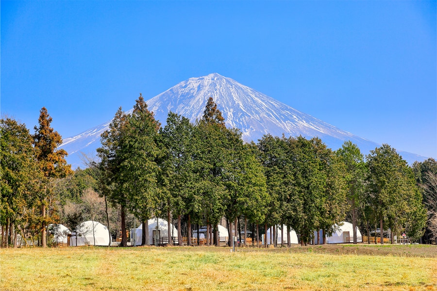 富士山麓、豊かな緑が広がる朝霧高原に配された、ドーム型グランピング施設。