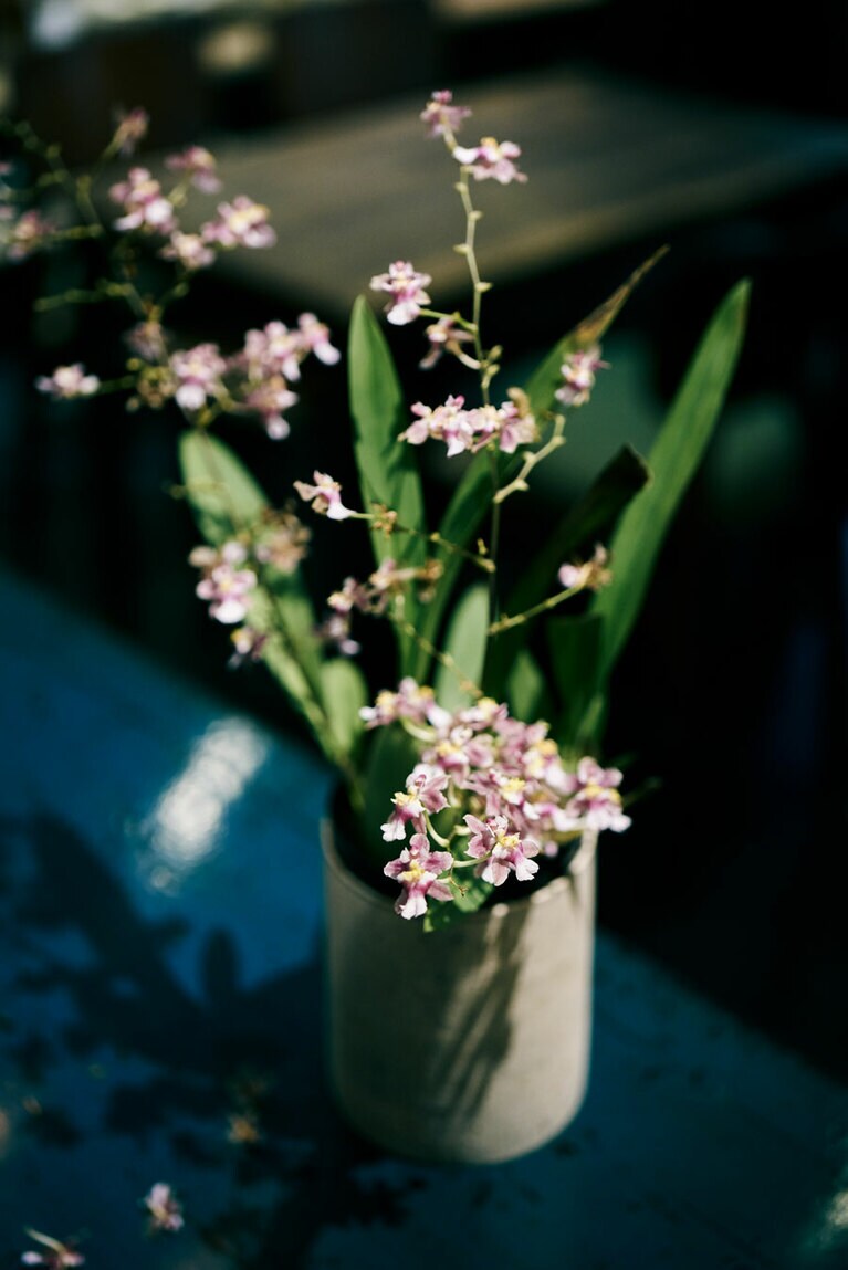 季節の花が店内に。