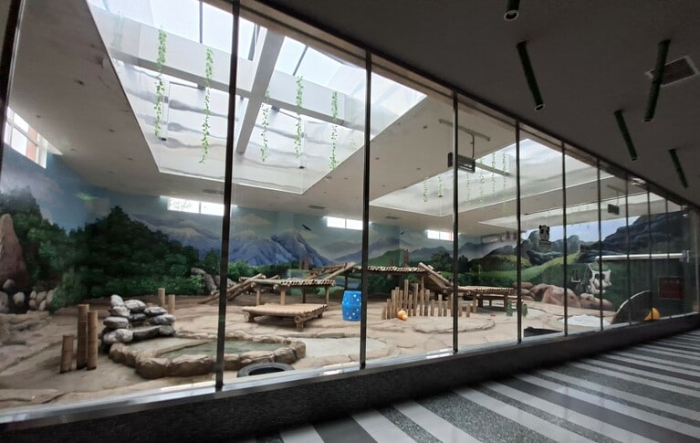 網網が暮らす「雲鏡館」の屋内公開エリア。（筆者撮影）
