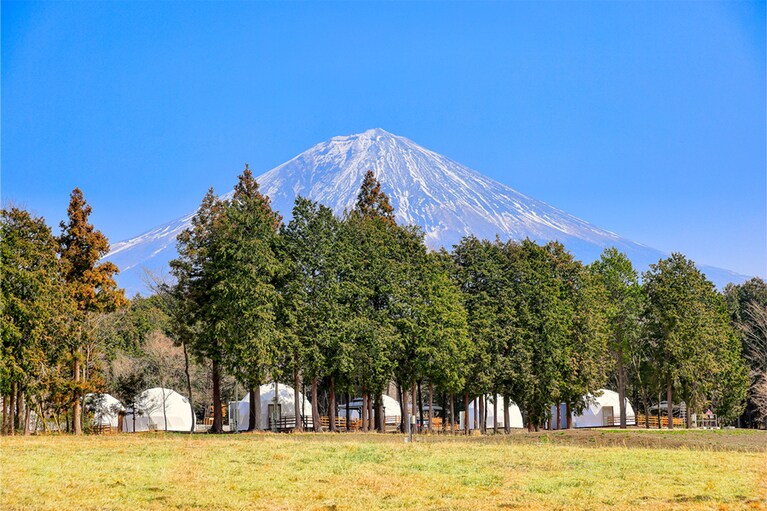 富士山麓、豊かな緑が広がる朝霧高原に配された、ドーム型グランピング施設。