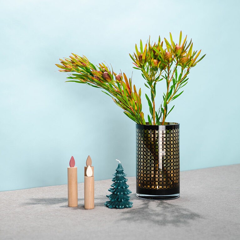 リューカデンドロンは値段も手ごろで手に入れやすいワイルドフラワーのひとつ。