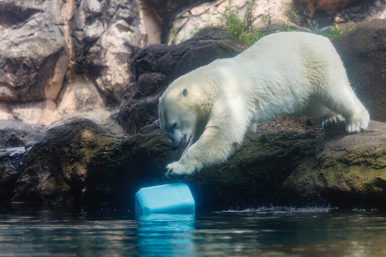 イッちゃんとライ。