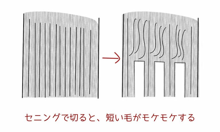 （筆者提供）
