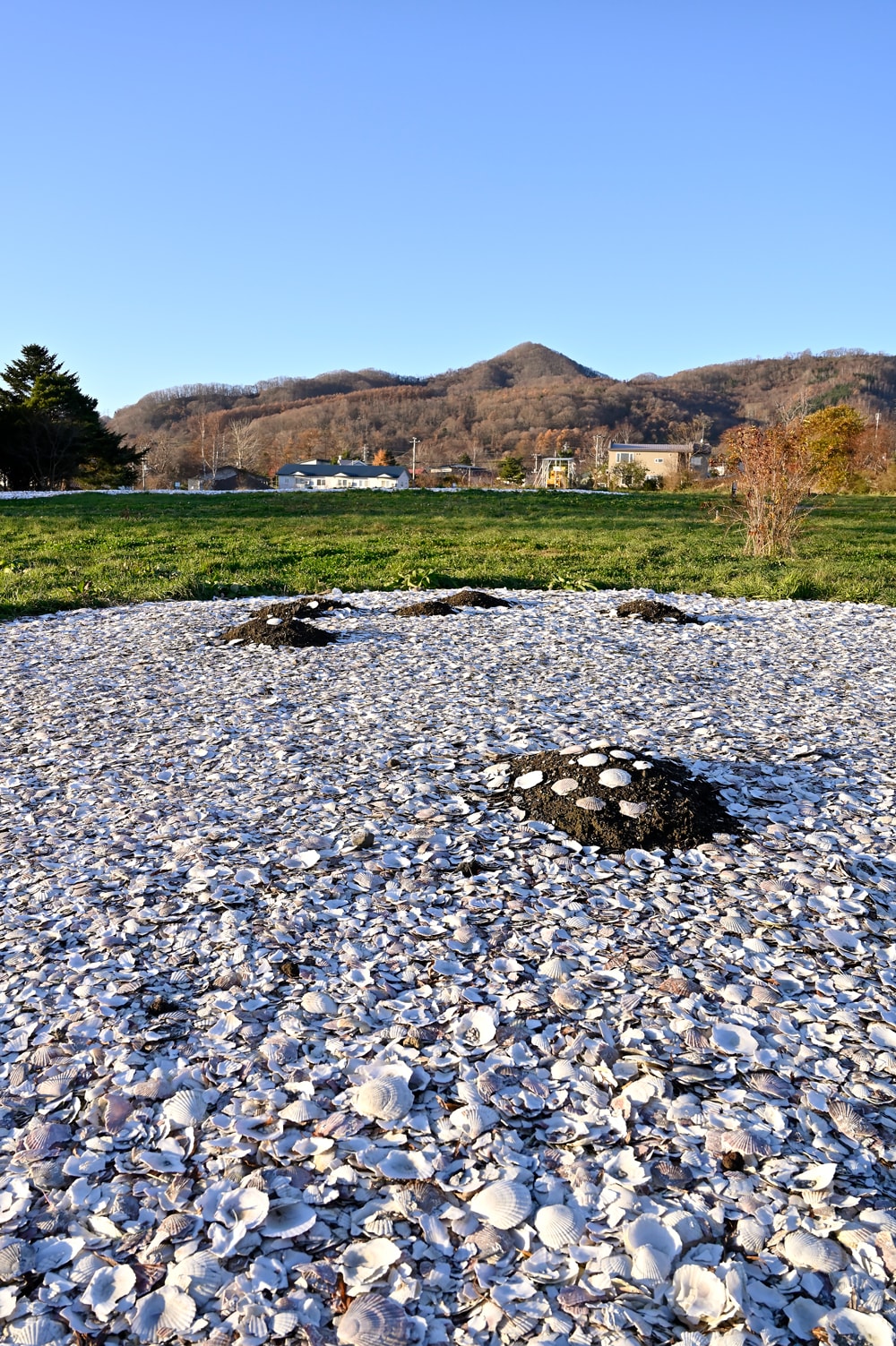 入江貝塚から徒歩5分ほどのところにある高砂貝塚。