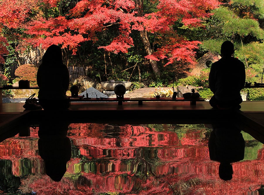 寿福寺の逆さ紅葉。©SASEBO