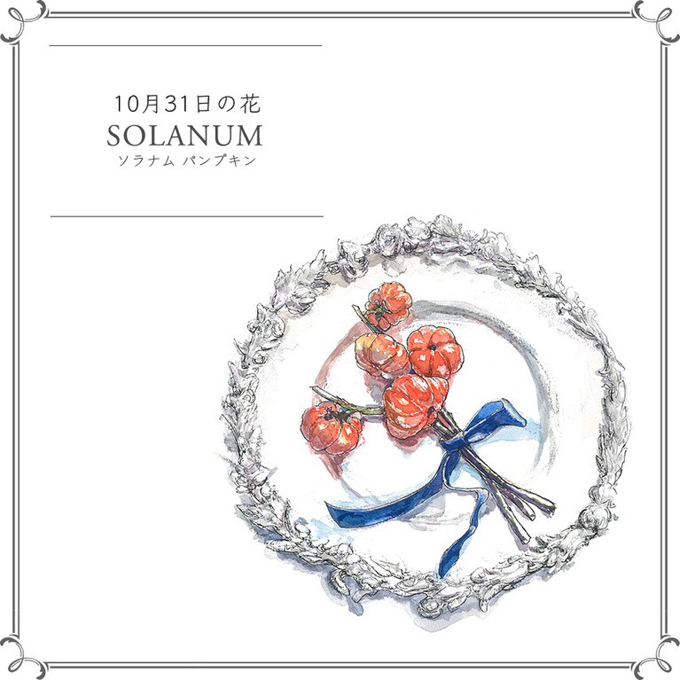 10月31日の花「ソラナム パンプキン」