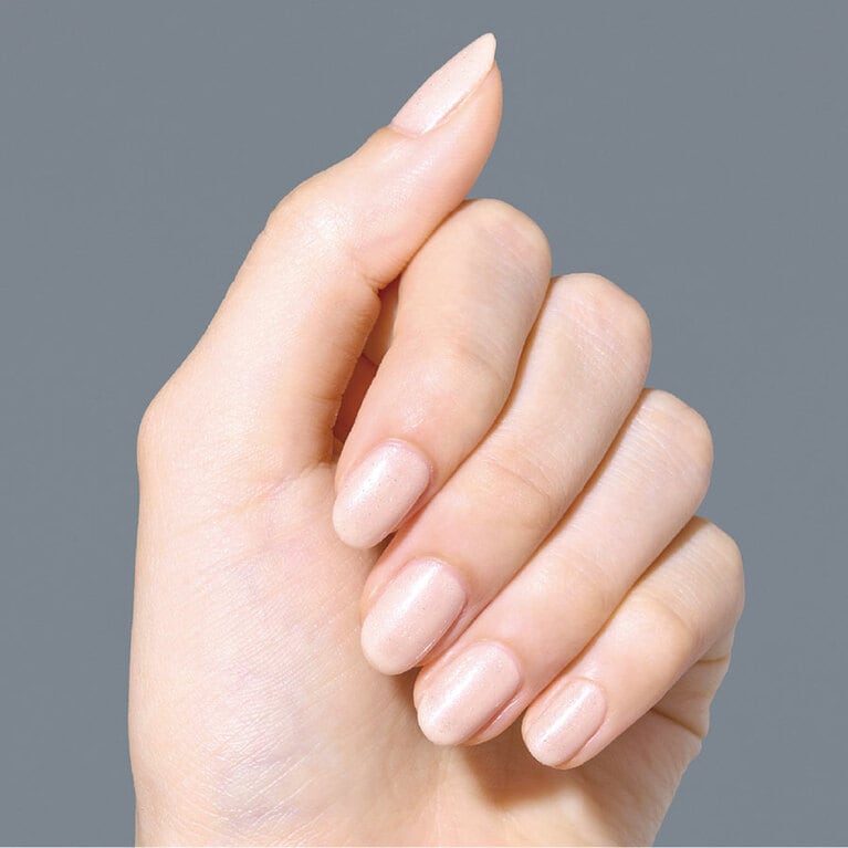 ＮＬ５０　ドリームスケイプの使用イメージ。