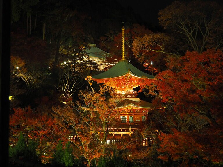 勝尾寺の紅葉。
