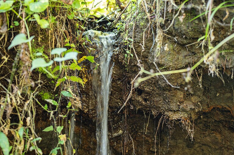 新潟県・里山十帖の秋
