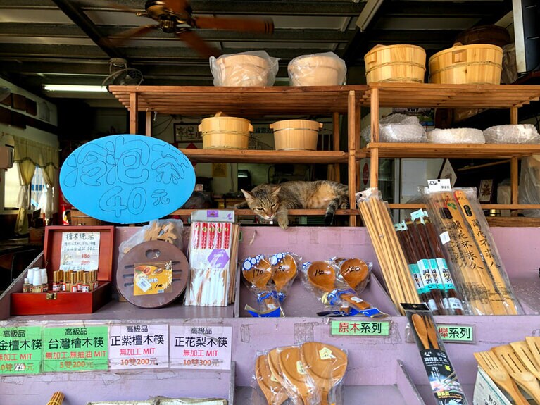 目が覚めても定位置から動かず。きっと、お店の看板猫の誇り故ですね。