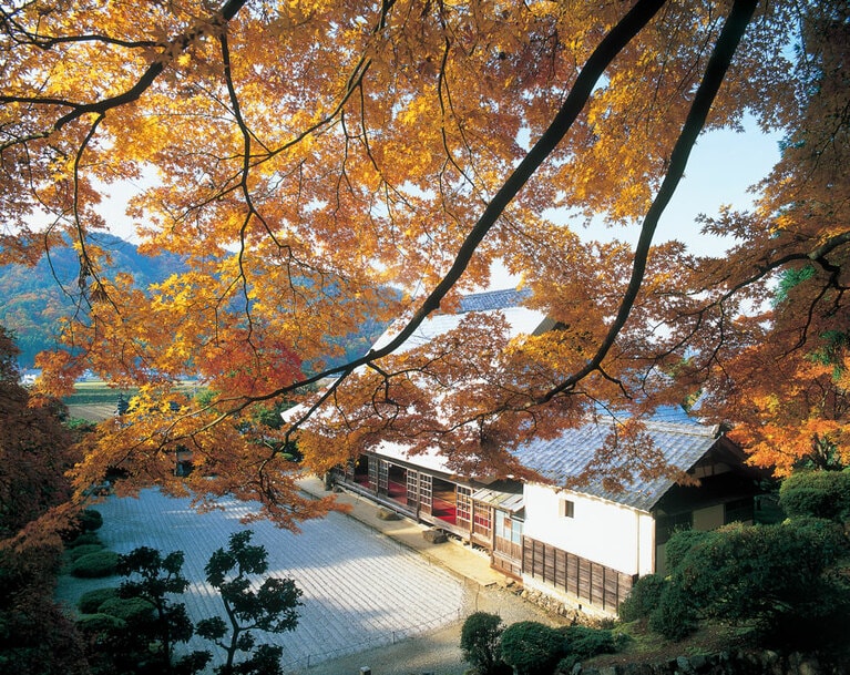 【福井県】萬徳寺と大山モミジ。