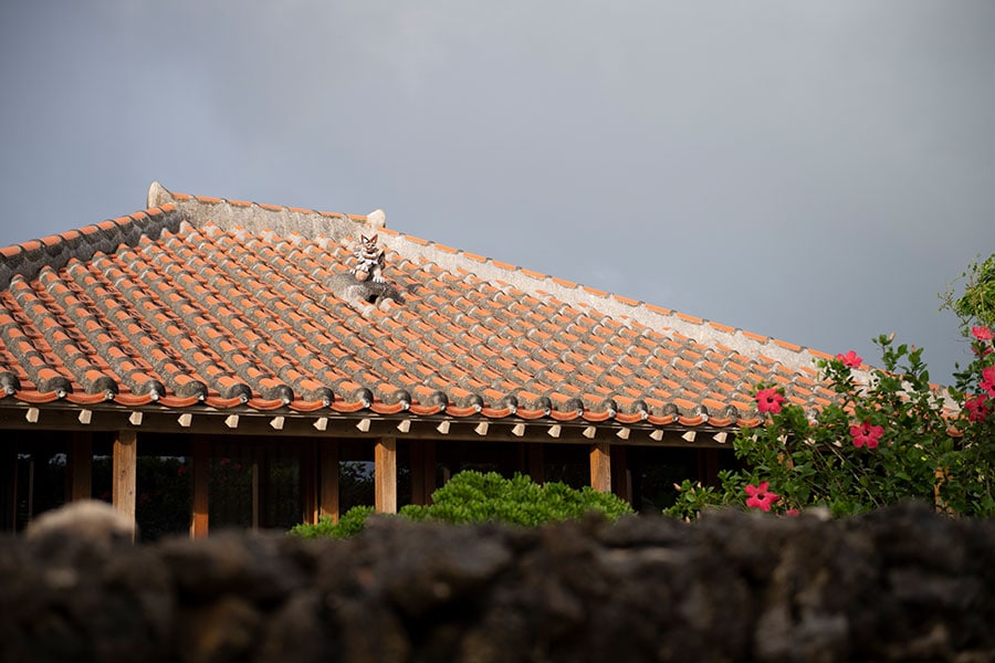 琉球赤瓦の屋根にシーサーを据えるのは竹富島ならではのスタイル。