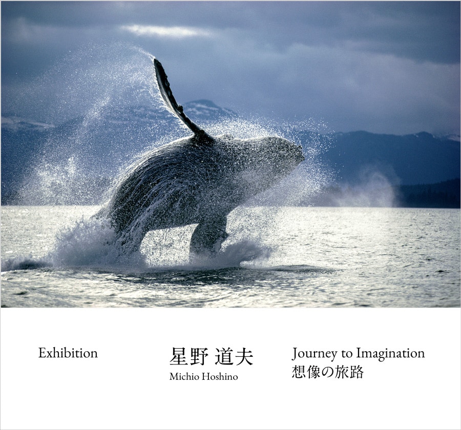 THE NORTH FACE Exhibition2021.06.24-2021.07.13『Journey to Imagination 想像の旅路』。