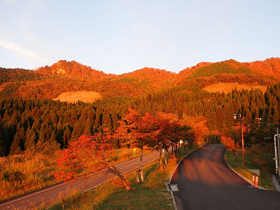 鳥取県立 氷ノ山自然ふれあい館 響の森。写真提供：鳥取県立氷ノ山自然ふれあい館 響の森