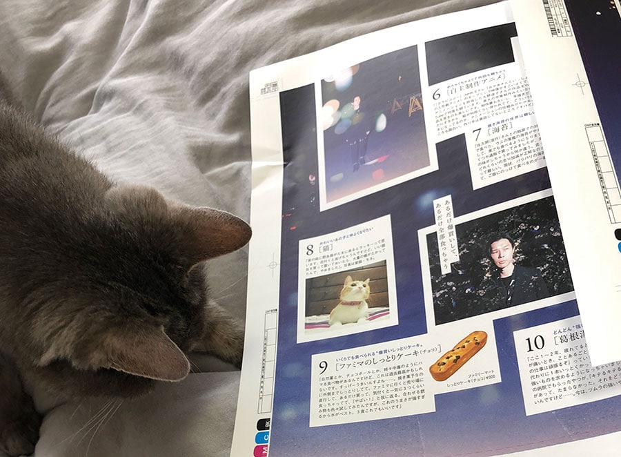 岩井さんの愛猫・モネの存在を探る。