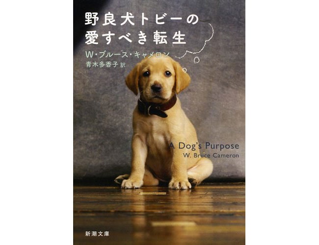 『野良犬トビーの愛すべき転生』新潮文庫 825円。
