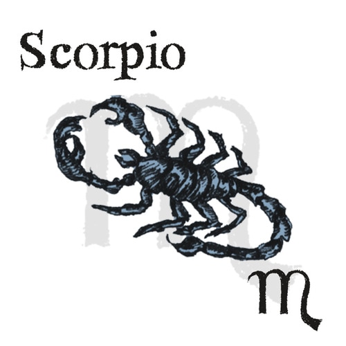 岡本翔子の星占い 【蠍座】3月の運勢「美しい場所を探す人もいれば」