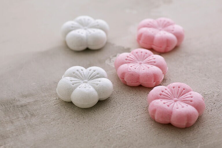 最中 御代の春 紅・白 最中12個入り(御代の春 紅・白 各6個) 2,700円／とらや　※賞味・消費期限：24日