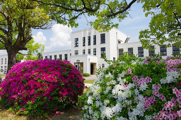 【滋賀県】豊郷小学校旧校舎群のツツジ。