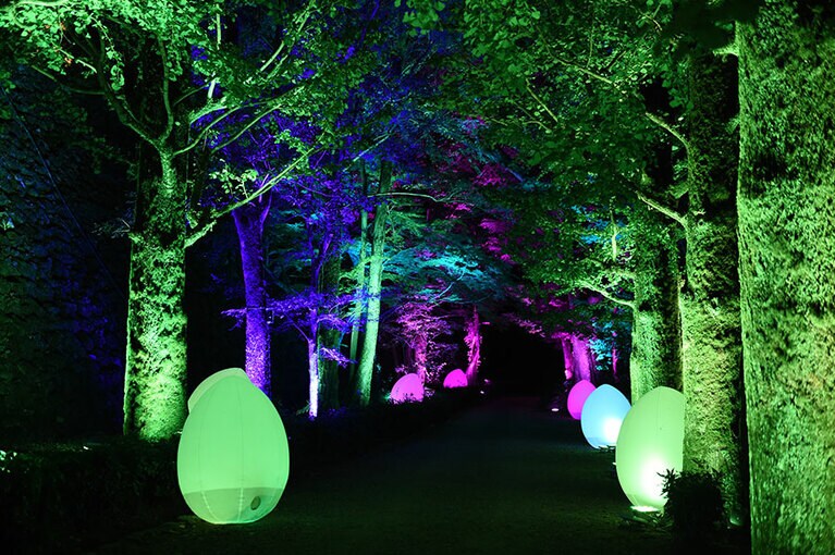 ovoidの光を受け、様々な色に染まり妖しく光る木々。