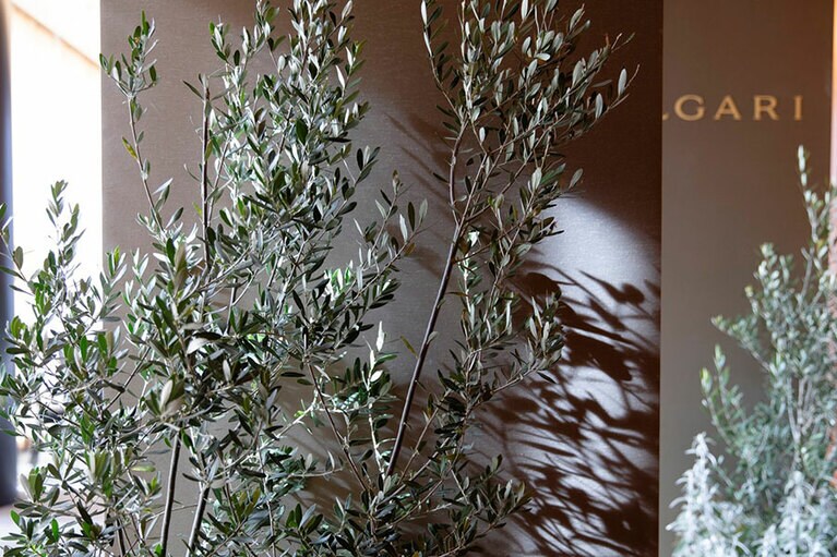 ブルガリ「サン・ヴァレンティーノ 2024」