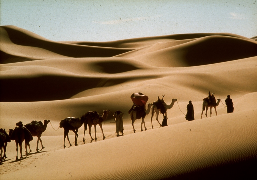 『シェルタリング・スカイ』どこまでも続くサハラ砂漠とアラブ人の隊商が美しい(古牧ゆかりさん)