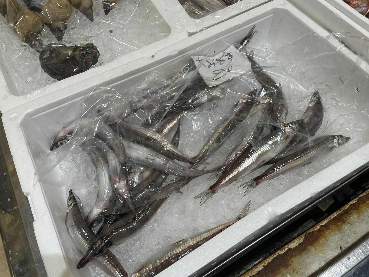 二ギスやゲンゲなどの鮮度の落ちが早く流通に乗らない魚も見どころ