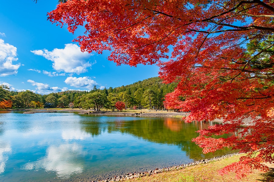 【岩手県】毛越寺。