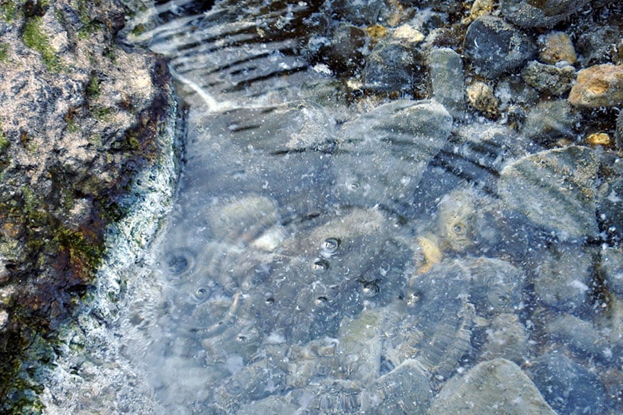 寝待温泉の前の立神の海中温泉。ケガした魚も傷を癒しにやってくるとか⁉