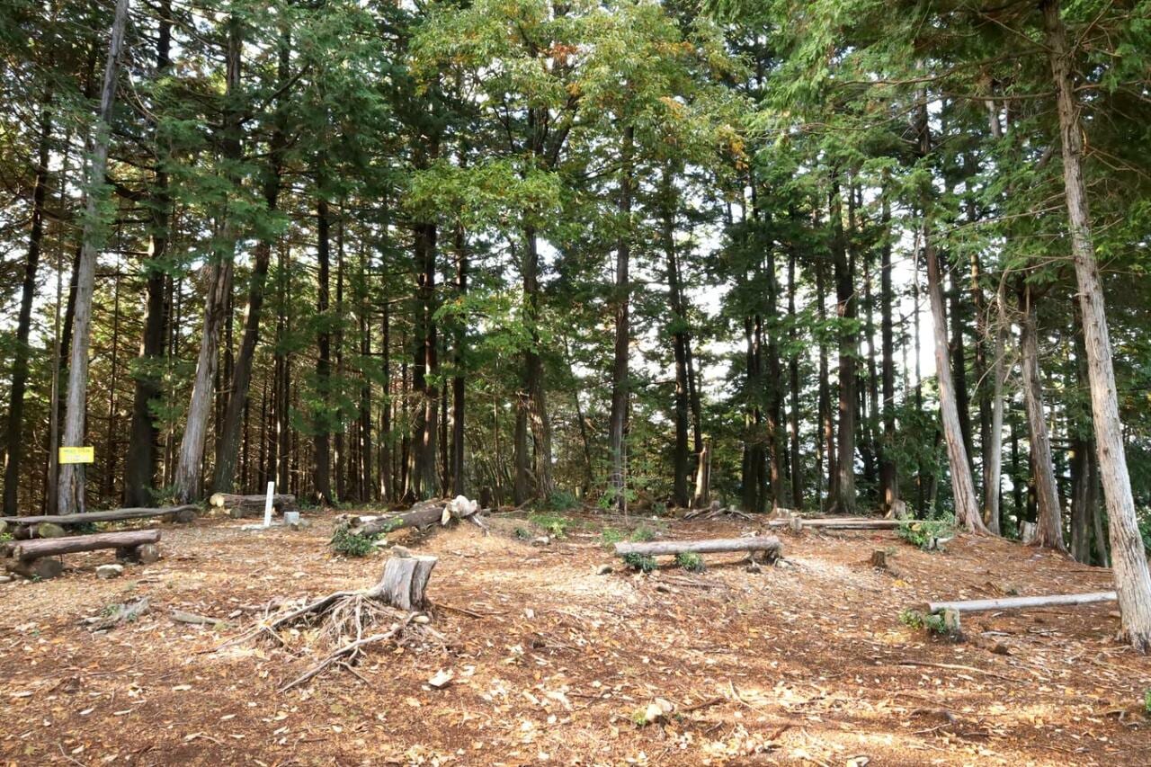 主郭。「祐向山 374.2m」の木製看板が見える