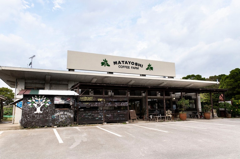 コーヒー豆収穫焙煎体験は又吉コーヒー園で。