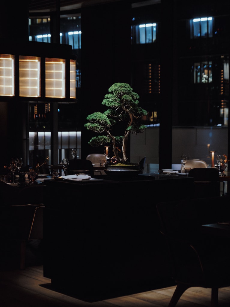 フェスティブ盆栽。