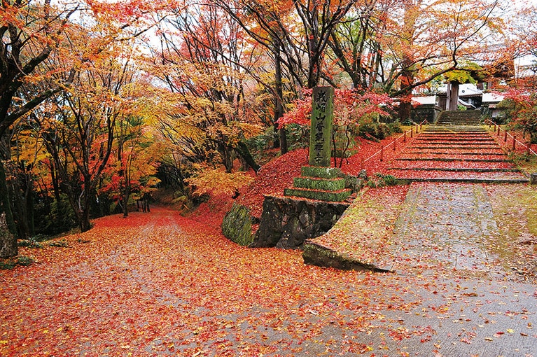 【大分県】普現寺。