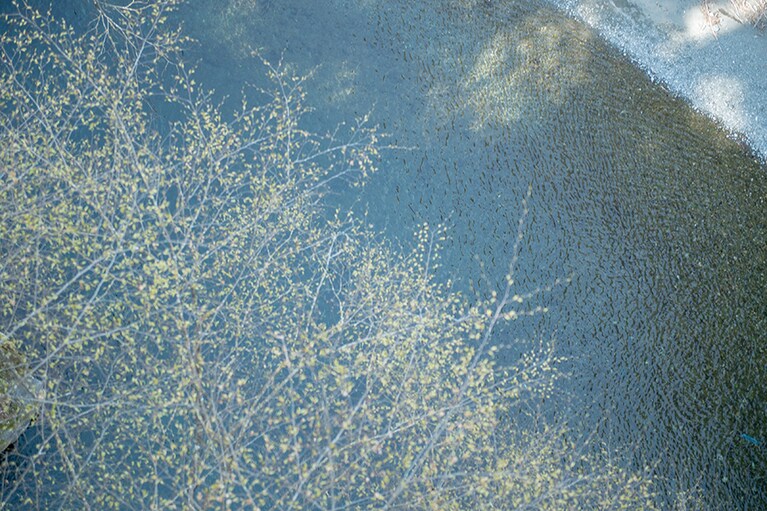 氷川渓谷は広い洲、瀬をもつため、キャンプや釣りに訪れる人も多い人気スポット。遊歩道も整備され、気軽に散策が楽しめる(東京都西多摩郡奥多摩町氷川181)。