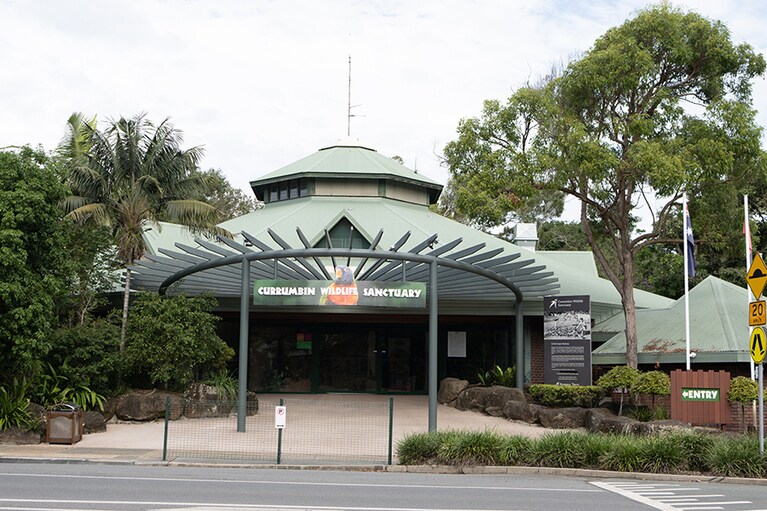 「カランビン・ワイルドライフ・サンクチュアリ」へは、トラムの終点ブロードビーチ・サウス駅から700番のバスで約30分。開園時間9:00～16:00、入園料 AUD49.95。