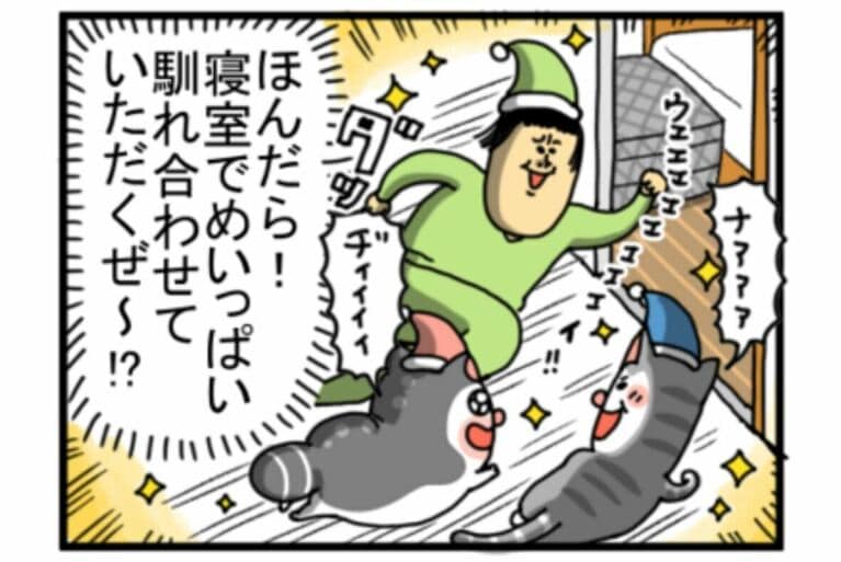 「寝室行くと急に独立心高まる猫たち」（2024年5月21日）