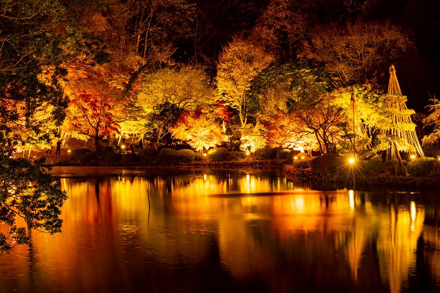 【東京都】薬師池公園の紅葉ライトアップ。