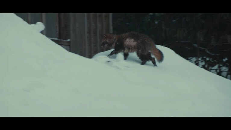 「NOGUCHI -酒造りの神様-」より。