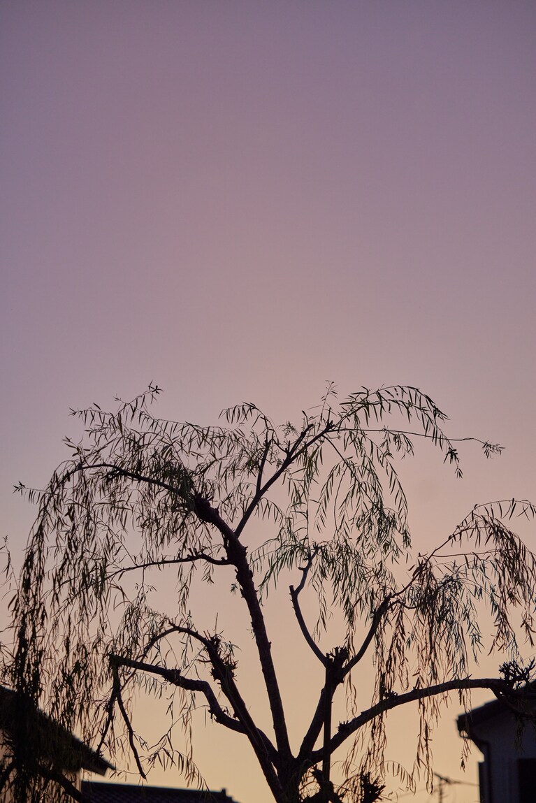 佐原商家町ホテル NIPPONIA。