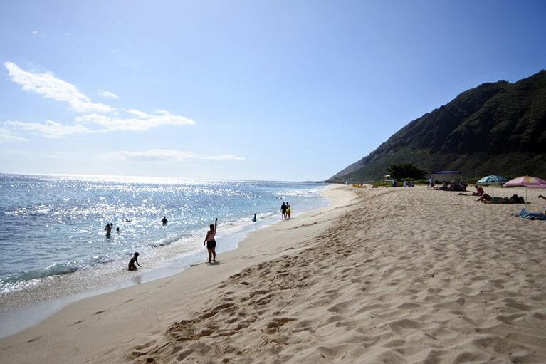 波打ち際より一段高いところに、パラソルの花が咲いています。