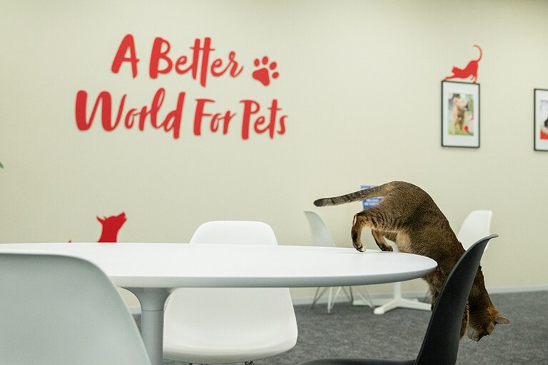 オフィス内を慣れた様子で歩くマロンさん。