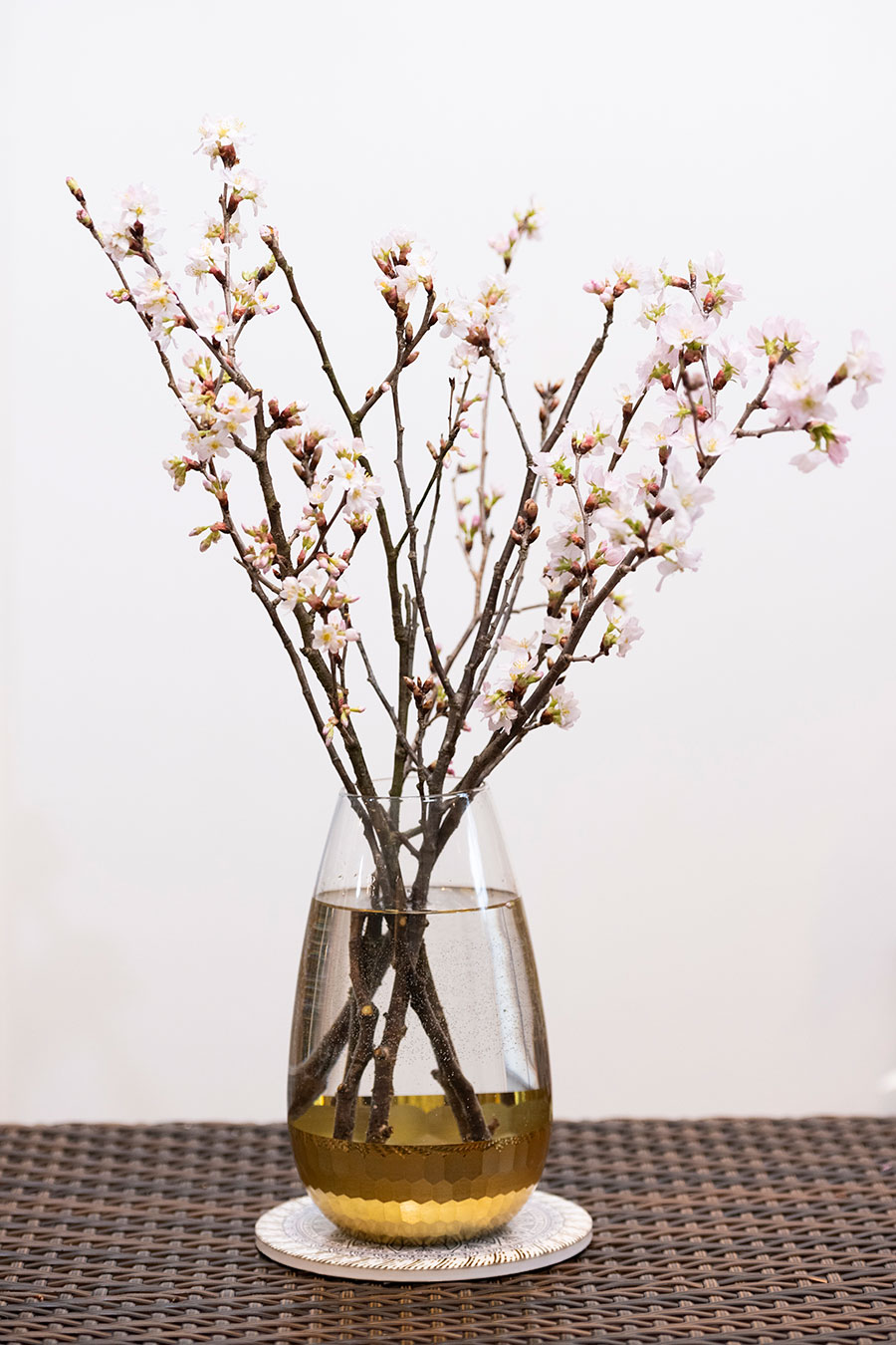 割引購入 作家さんの桜皮張り履き物 レディース 靴