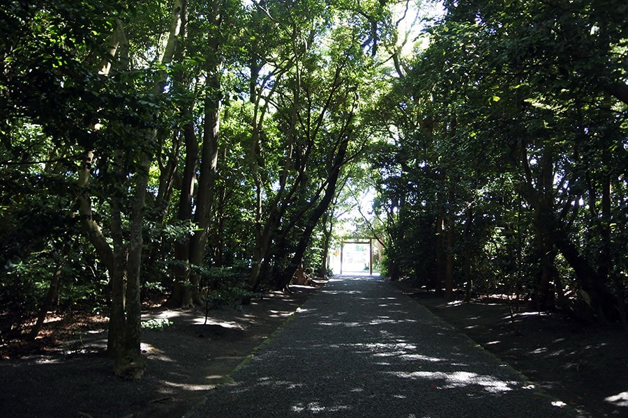 木々が濃い影を落とす、御塩殿神社。