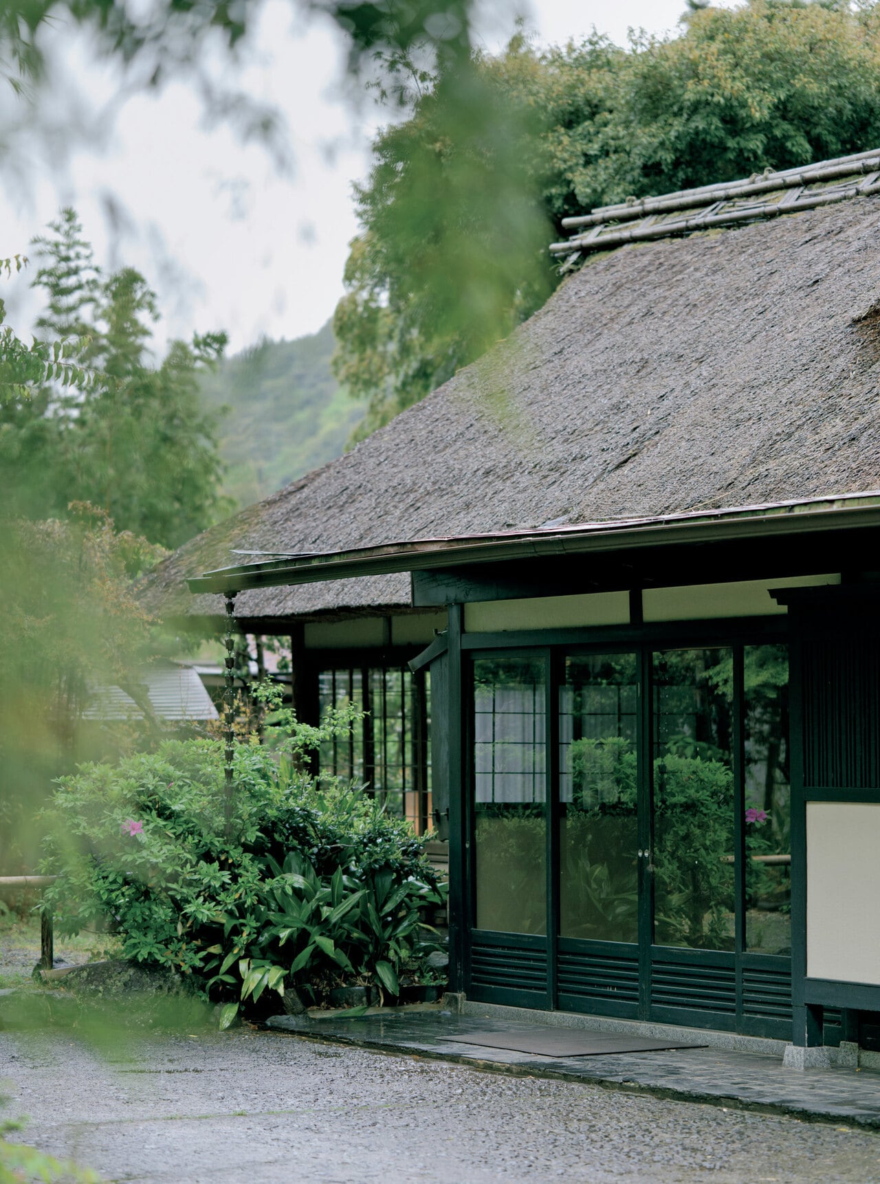 竹林に囲まれた、茅葺き屋根の母屋でチェックイン。しっとりと雨に濡れる木々が異空間へと誘ってくれる。