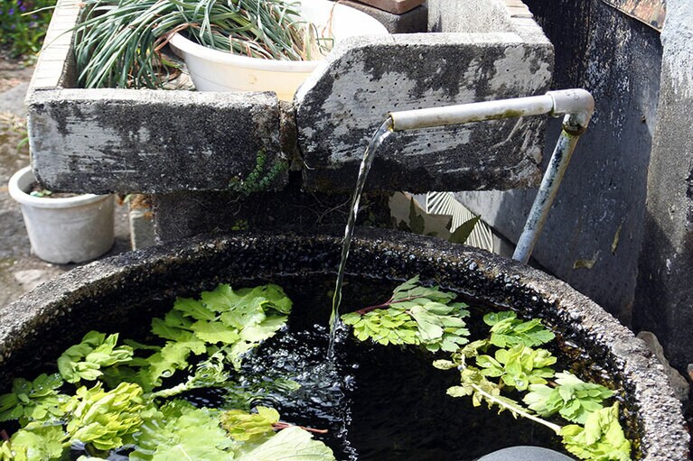 集落のあちこちに湧き水が。