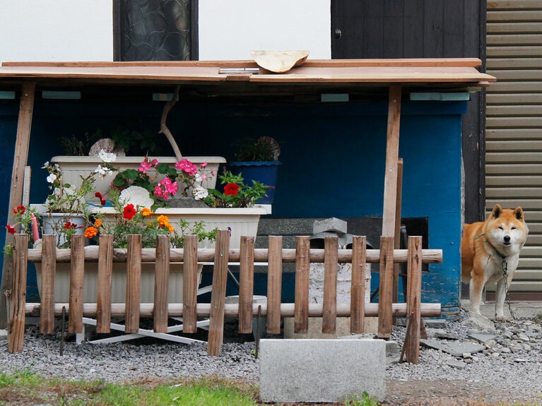 「ガーデニングをはじめたワン♪」