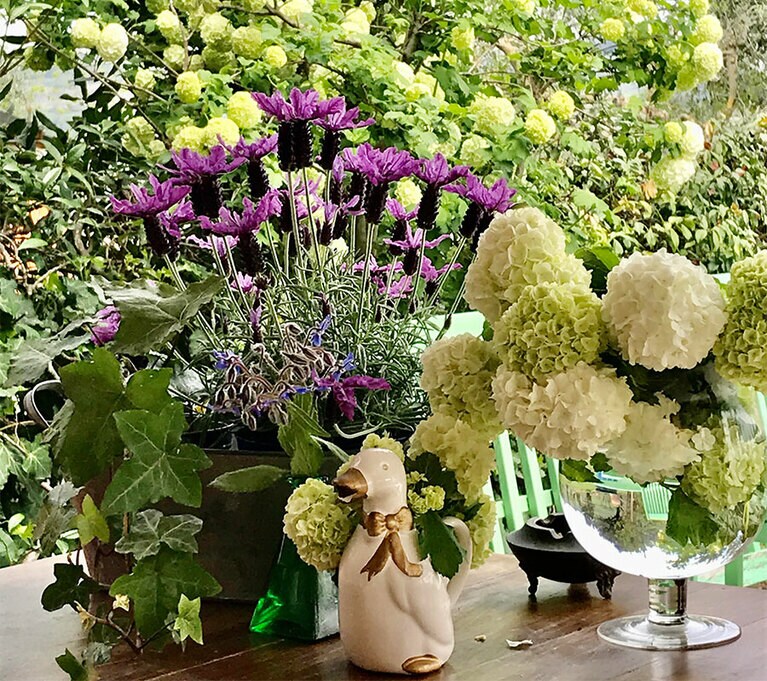 おこもり生活でもこまめに手入れした庭先で咲き誇る花々。癒やされます。