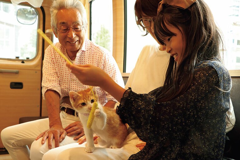 ネコのバス車内。