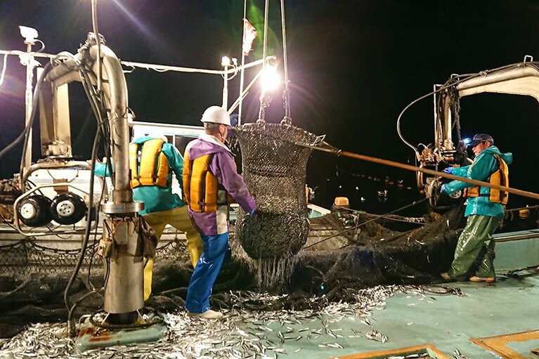 網が引き上げられ、船へ降ろされる瞬間。