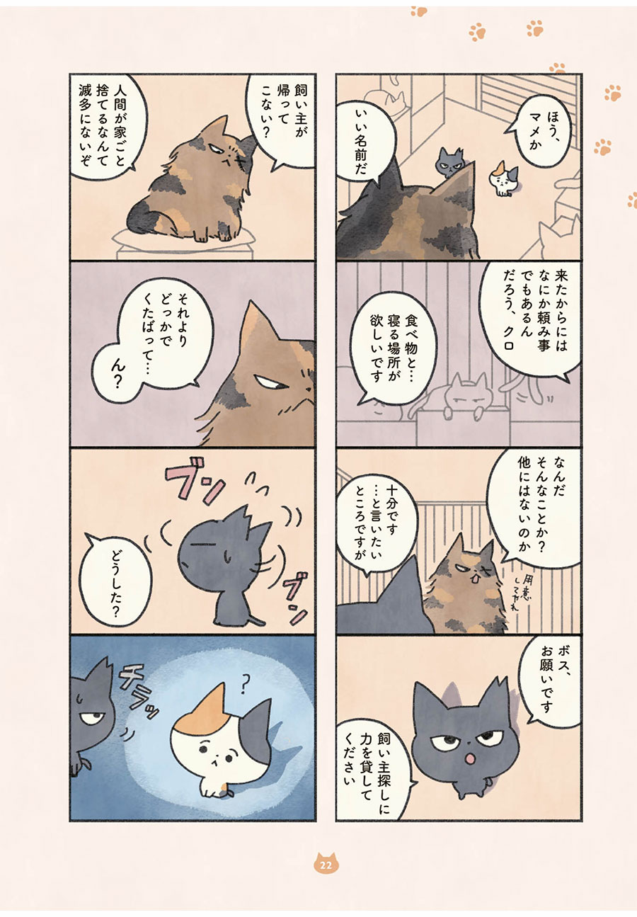 『もしもなんて来ないと思ってた猫』オキエイコ（実業之日本社）。